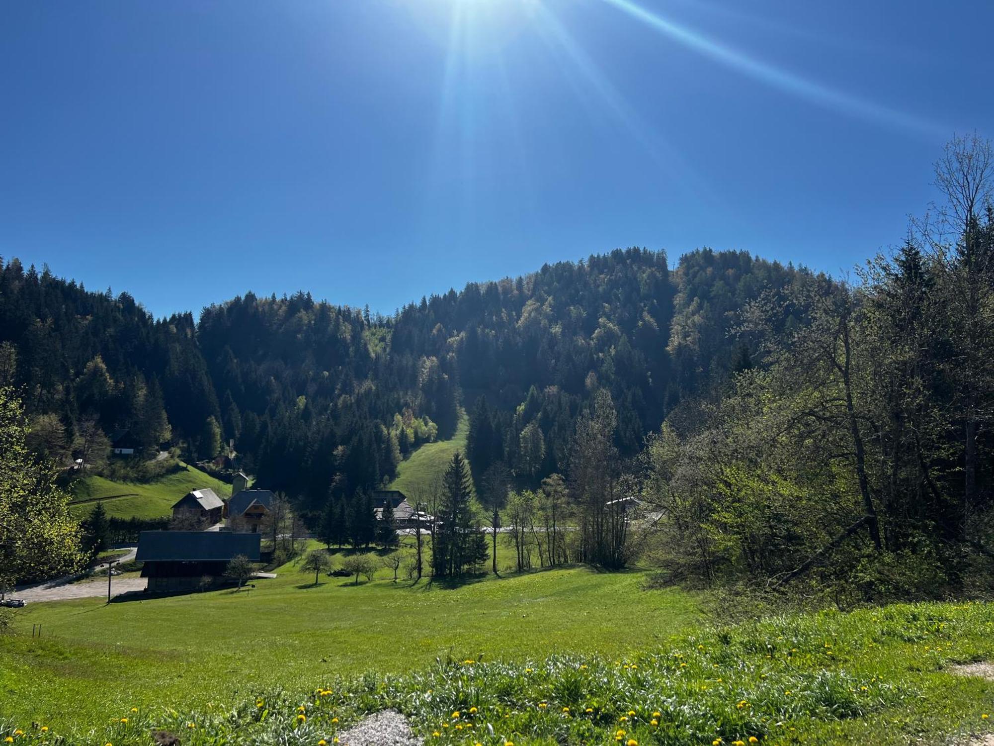 Apartma Jure Zgornje Gorje Exterior foto